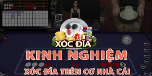 Chia Sẻ Cách Chơi Xóc Đĩa Ăn Tiền Từ Đội Ngũ Chuyên Gia Ta88