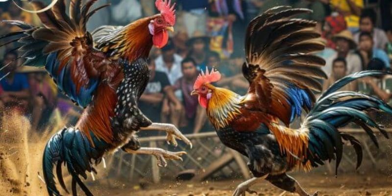 Trả thưởng uy tín